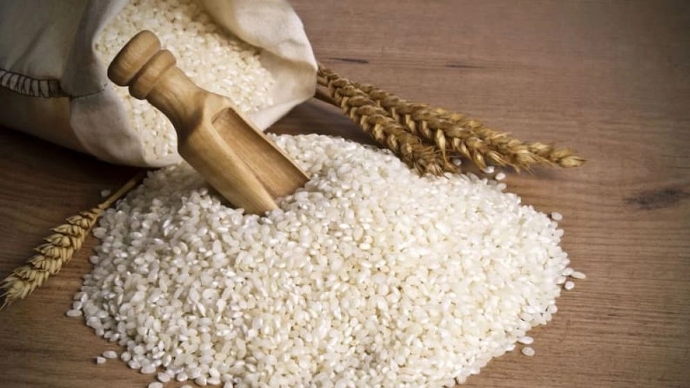 Riahi rice, production and sale of amber rice in Shiraz