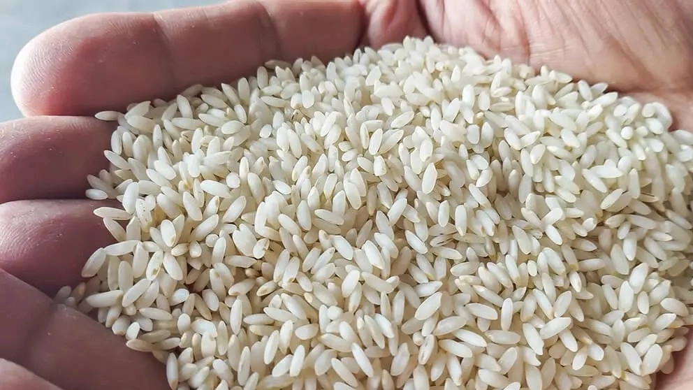 Properties of amber rice