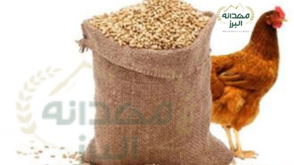 Selling all kinds of chicken feed