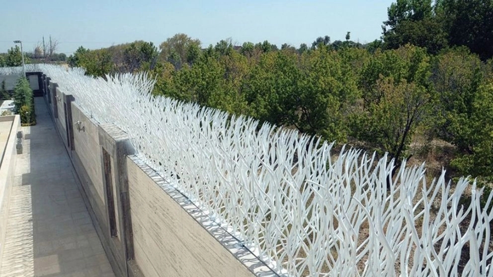 Application of deer antler protection fence