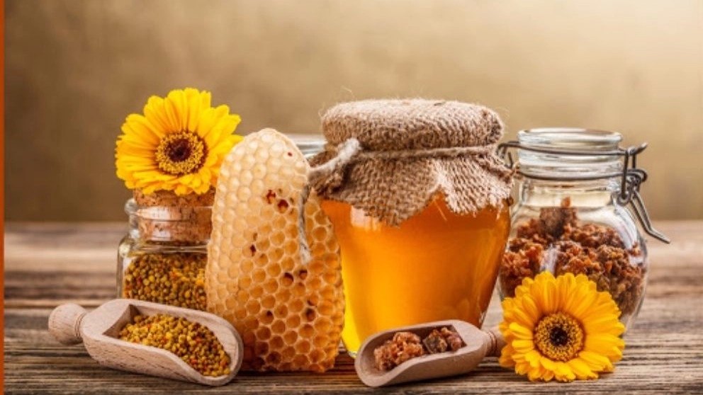 Preparation of natural honey in Razavi Khorasan