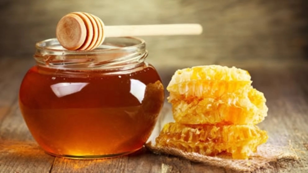 Nagin Khokhbar, wholesale sale and export of organic and natural honey in Razavi Khorasan