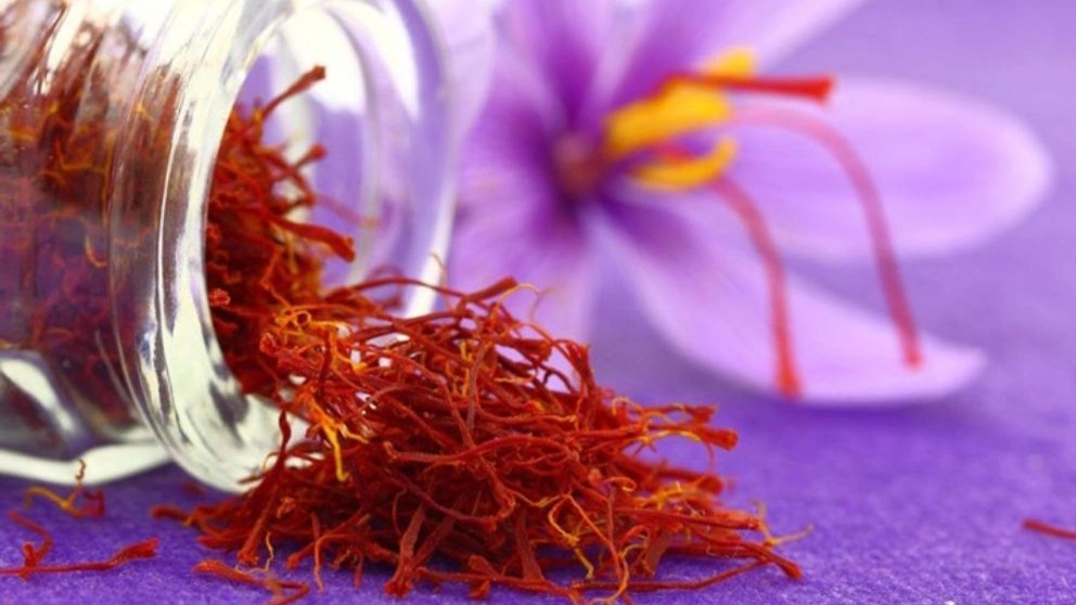 Export of original saffron in Mashhad