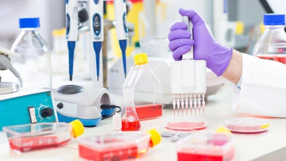 Representation of vitlab Germany