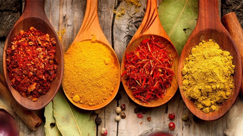 Attari and Medicinal Plants of Tabib Khan, sale of herbal medicines in Tabriz