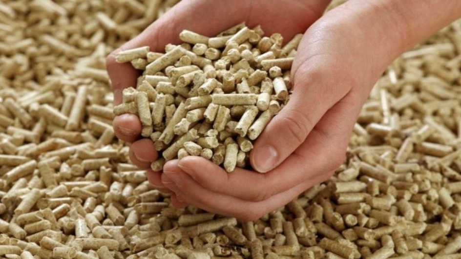 What is livestock and poultry concentrate?