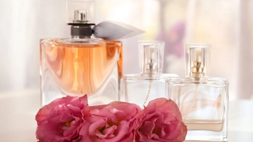 Zare perfume, wholesale sale of brand perfume and cologne in Ganaveh port
