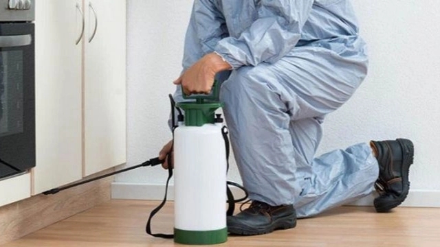 Pishtaz Naboghar Company, implementation of all spraying and disinfection operations in Hamedan