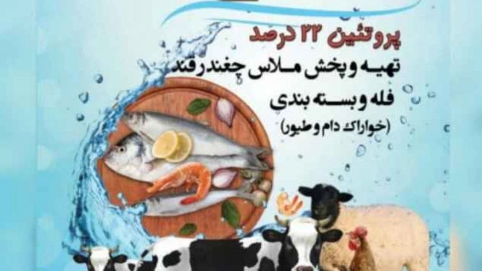 Buying and selling beet molasses, sugar and Fathi beet molasses waste in Qazvin