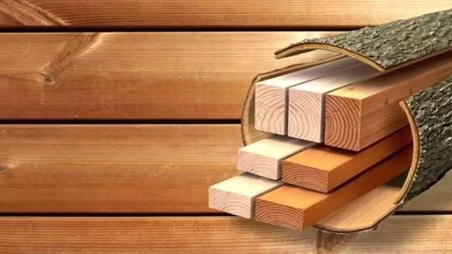 Specialized paint and wood clinic Akam North in Amol