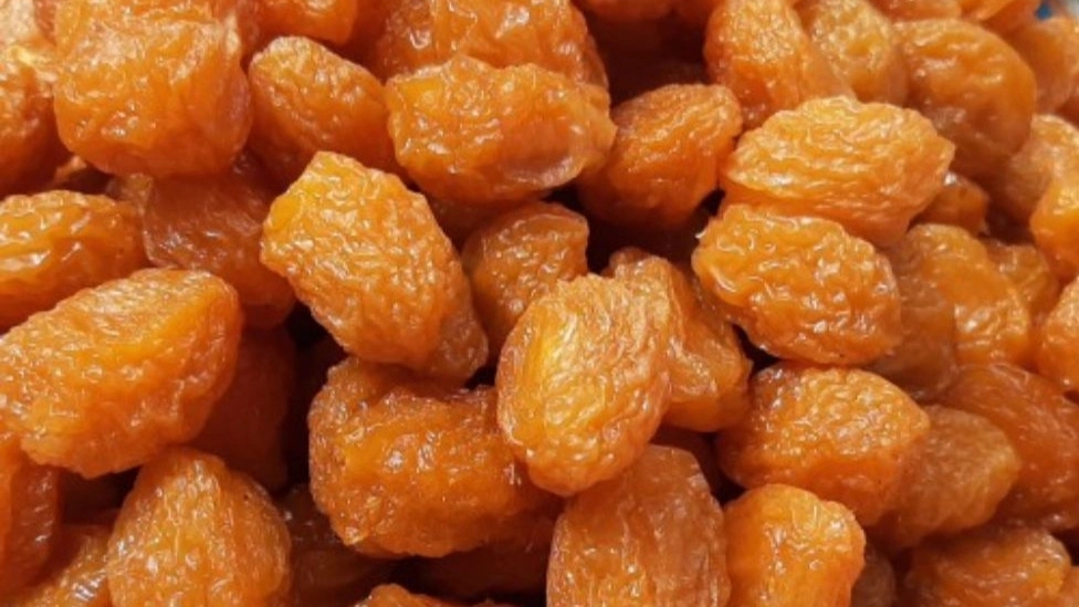 Hamze Khani dried fruit, wholesale Bukhara plums in Tehran