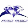 Negin East Mashhad ، تصنيع ملابس العمل وأجهزة السلامة في مشهد