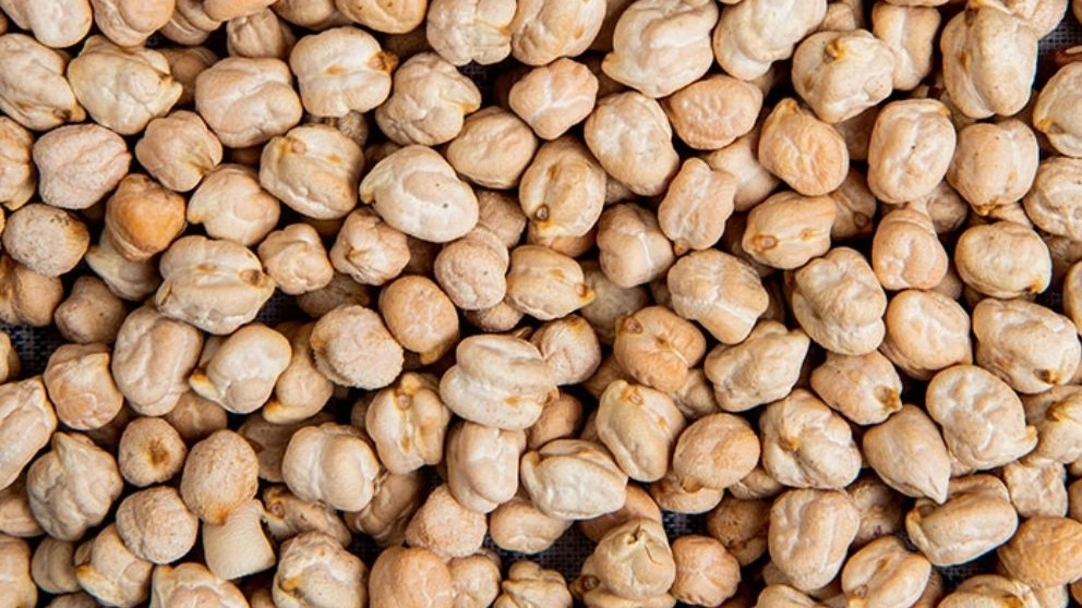 Wholesale sale and export of peas and beans in Kermanshah