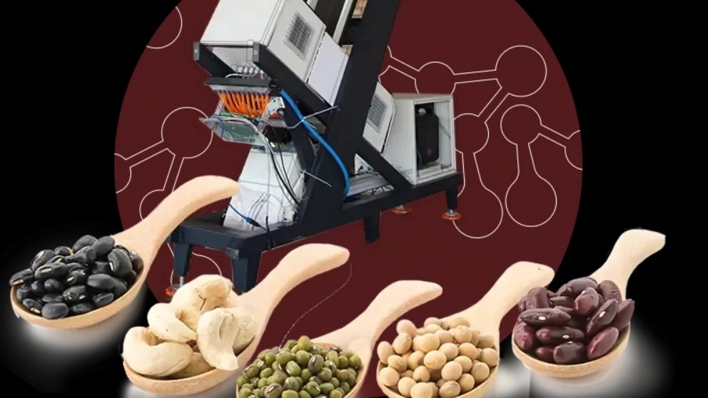 Bean sorting machine
