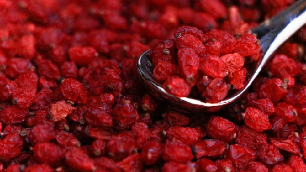 Barberry benefits