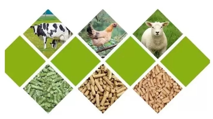 Faraji livestock and poultry feed, preparation and distribution of livestock feed in the middle of Azerbaijan