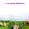 Faraji livestock and poultry feed, preparation and distribution of livestock feed in the middle of Azerbaijan