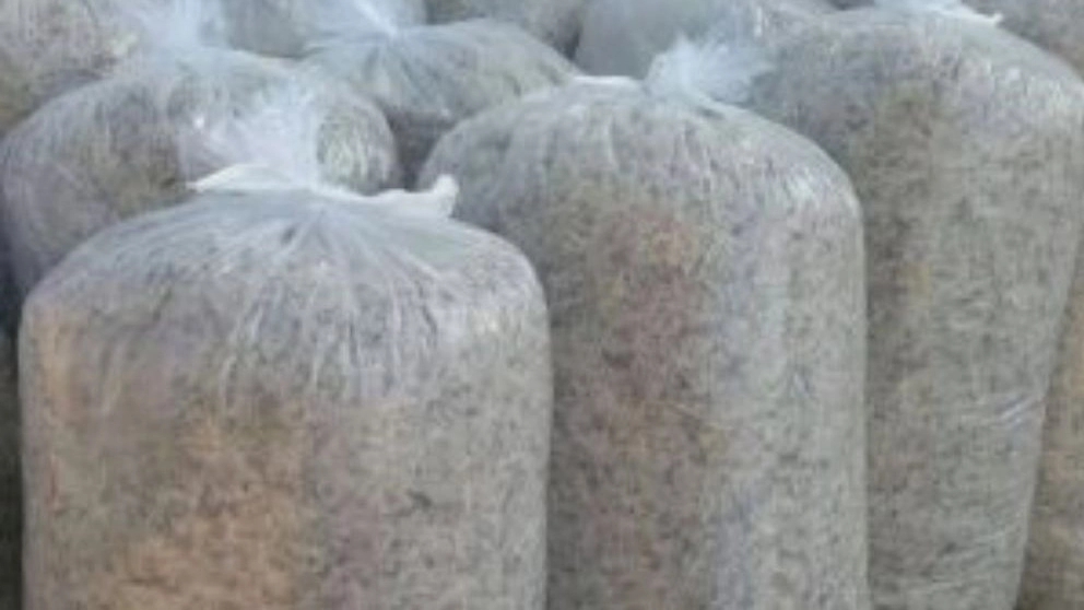 The best poultry feed