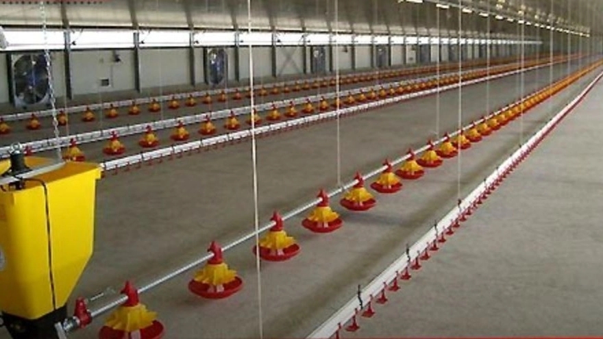 Poultry equipment of Khodabande Lu in Qazvin