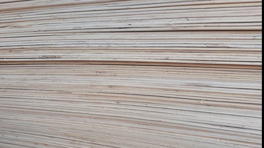 Yekta wood of green thinkers, selling all kinds of Russian boards and pallets in Urmia