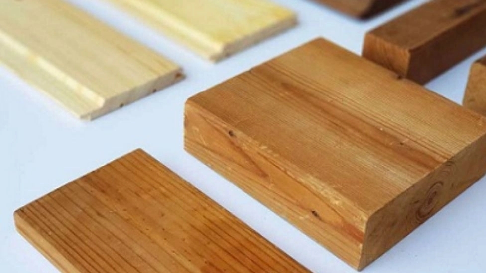 چوب ساسنا روسی و کاربرد آن