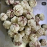 Hadi Goli garlic and onion production, hot and frozen garlic and onion producer in Hamedan