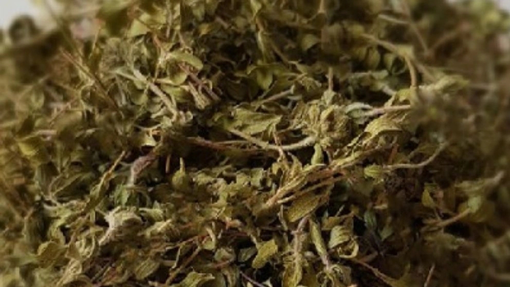 Shibani medicinal plants, wholesale sales of thyme and chamomile plants in Shiraz