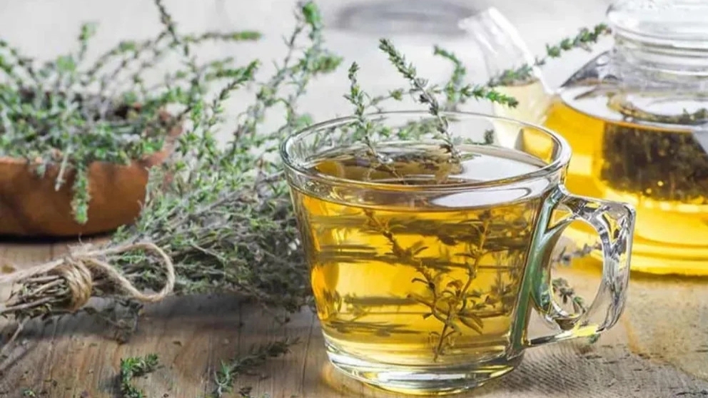 The unique properties of thyme tea