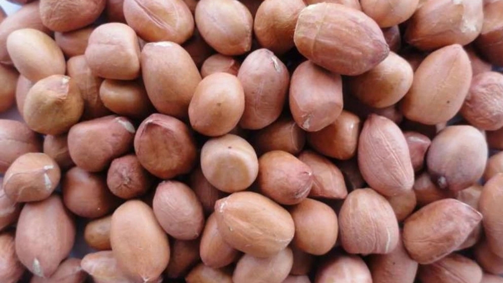 Darban dry goods, wholesale sale and export of pistachios, walnuts and peanuts in Tehran