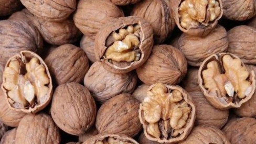 ۸ خاصیت شگفت‌ انگیز گردو برای مغز