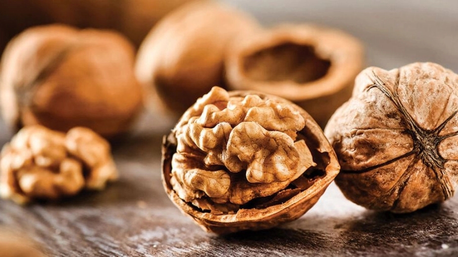 8 amazing properties of walnuts for the brain