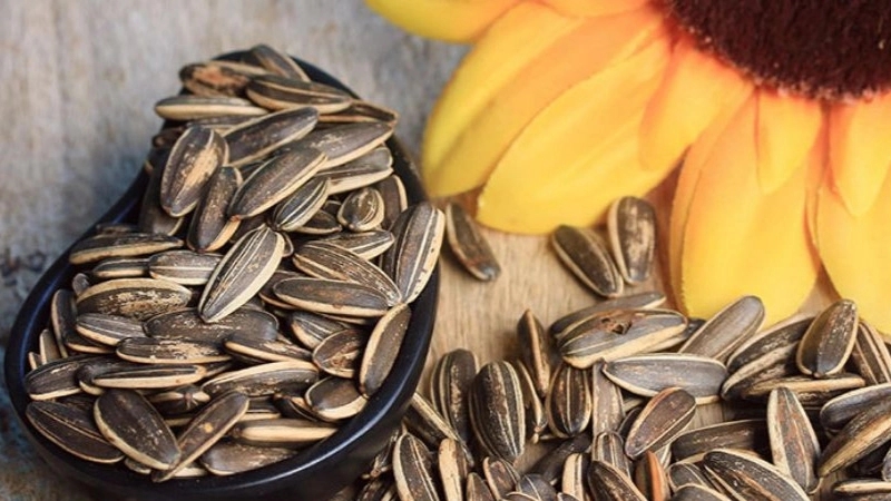 The benefits of sunflower seeds in promoting hair growth
