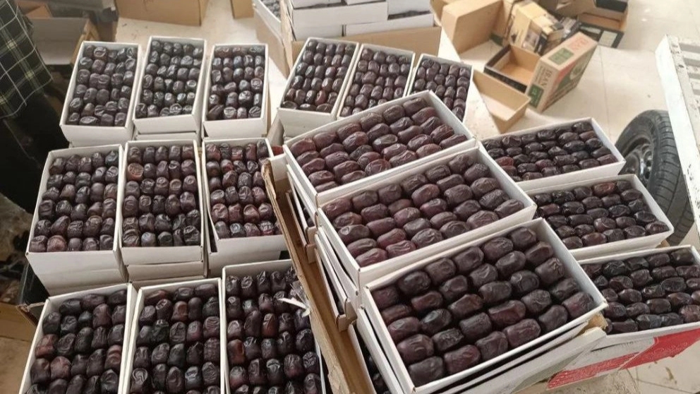 Massoud cold storage, date packing industries in Bam