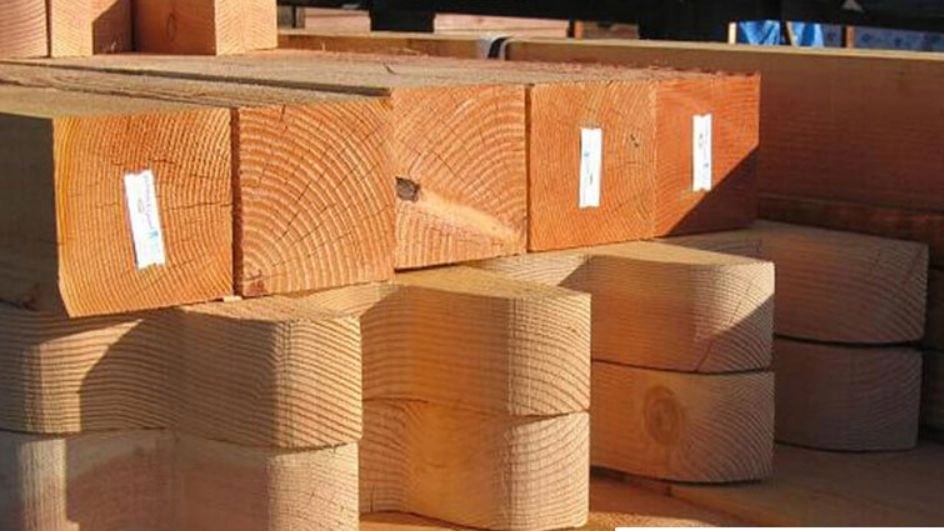 معرفی چوب صنوبر