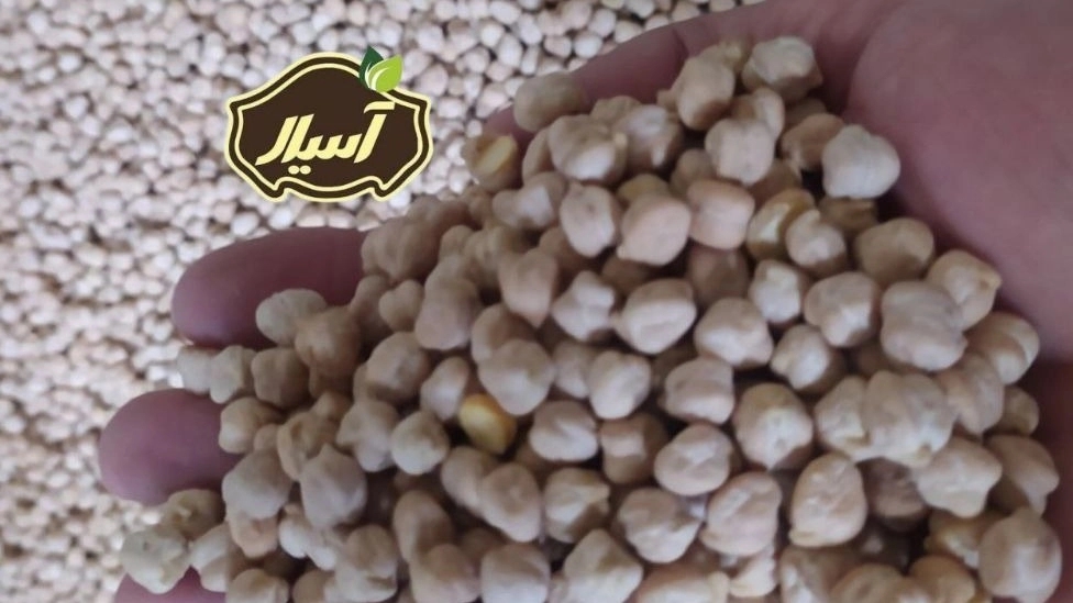 Supplying the best bulk boiled chickpeas, special for Muharram
