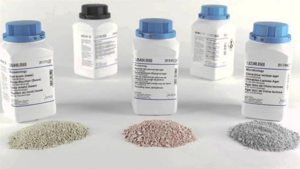 Aria Gene, familiarization with the types of production environments of MERK company