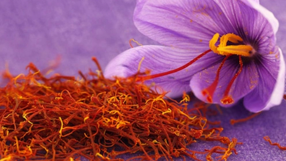 Introducing the most important properties of saffron