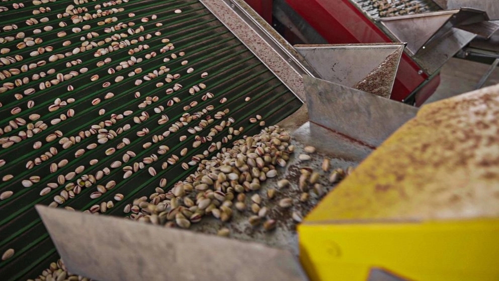 Introduction of pistachio processing methods