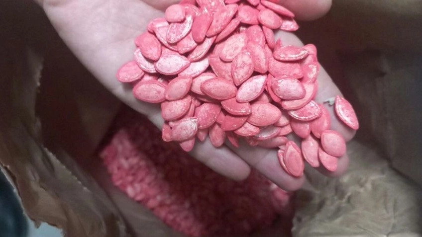 Global hybrid pumpkin seeds