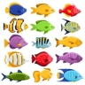 Kashan Aquaculture Co., Ltd., producer of special ornamental fish and goldfish