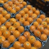 Feriborz fruit and vegetables, sales and packaging of fruits and vegetables in Rodan