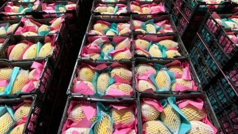 Sorting Reza Awadpour, export of summer clothes in Dezful