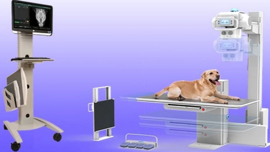 Pharmed Company, selling medical and veterinary equipment in Tehran