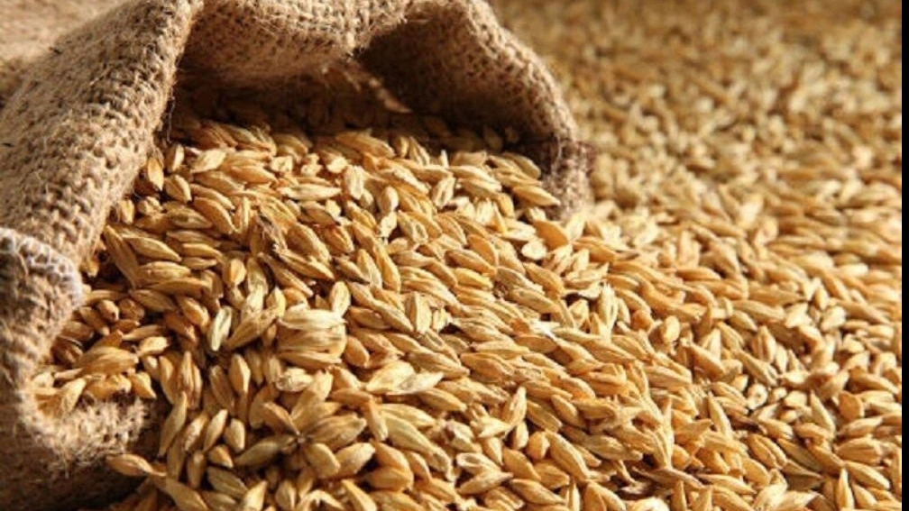 Important sources of livestock food