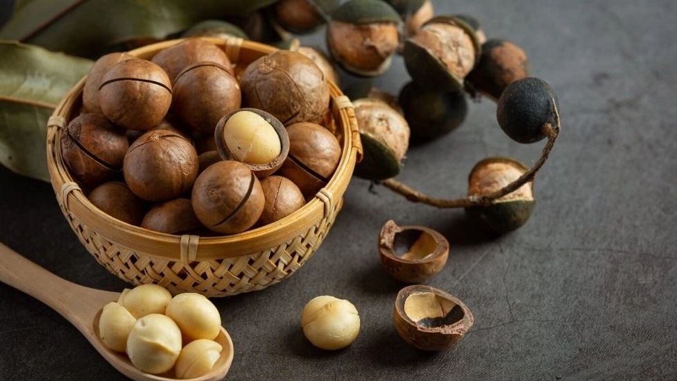 Buy hazelnuts
