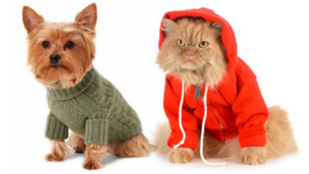 Pudi pet, sewing pet clothes and pets in Marand