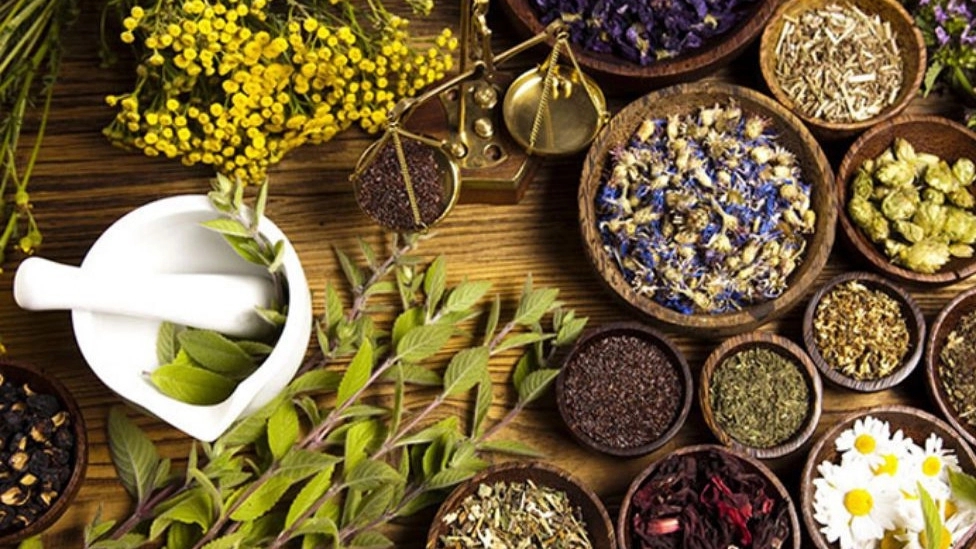 Sabouri medicinal plant, wholesale sale of medicinal plants in Tehran