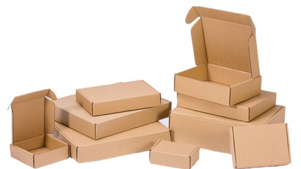 Carton Ambassador to the World, Cardboard Manufacturing of Meat and Chicken Box of Home Appliances in Isfahan
