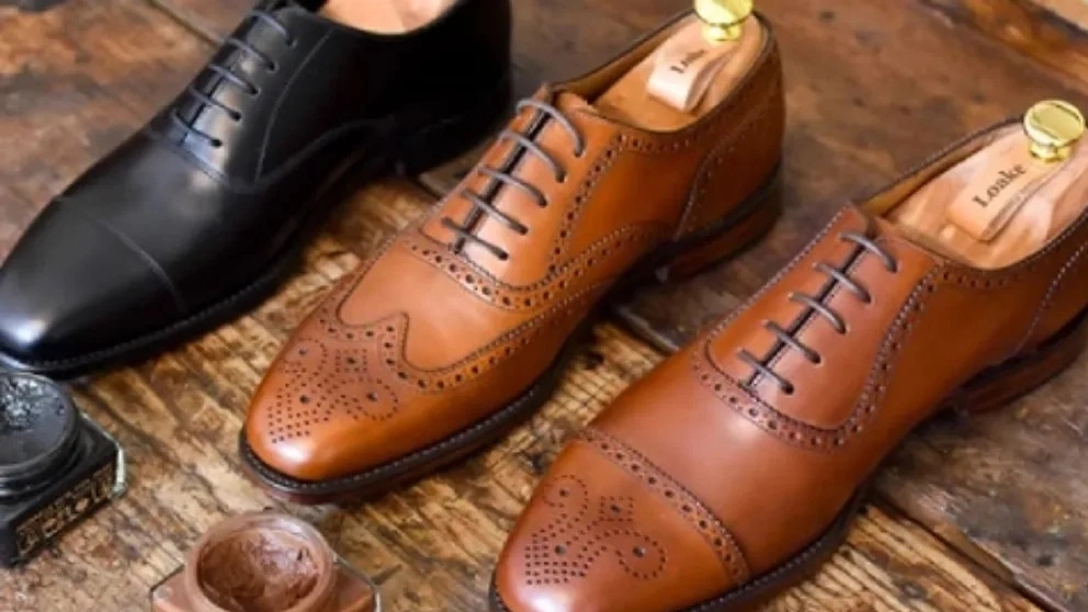Principles of maintenance of natural or synthetic leather