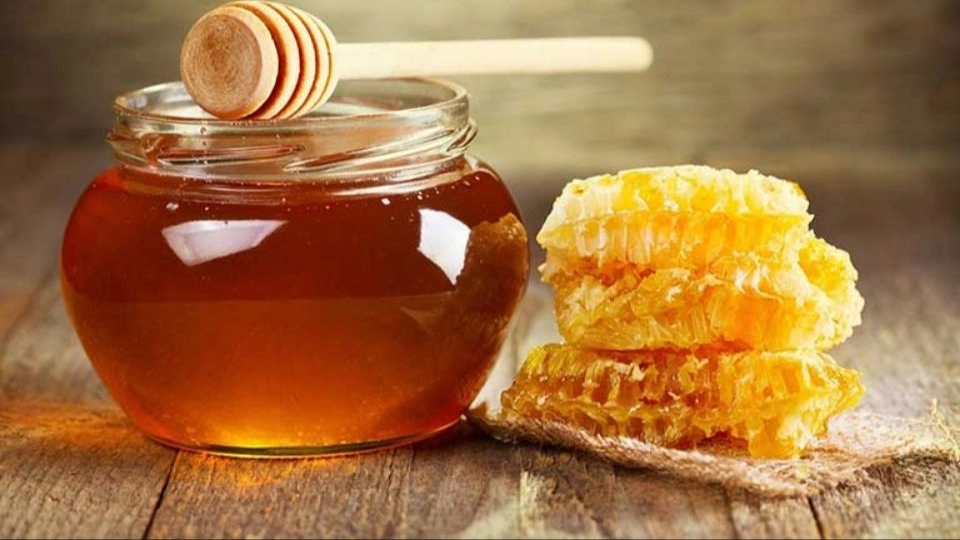 Mashani honey, wholesale sale of original organic honey in Khuzestan